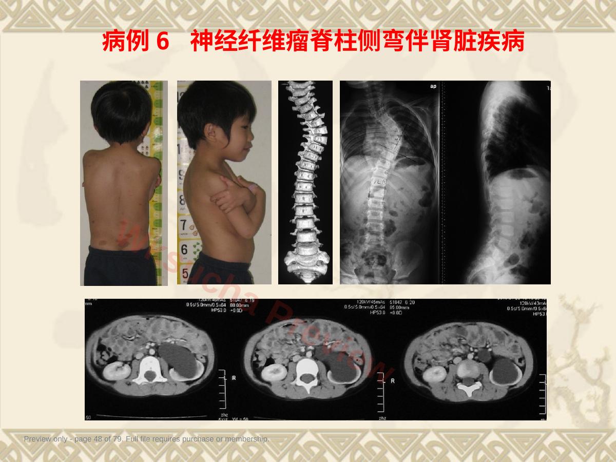 预览第 48 页
