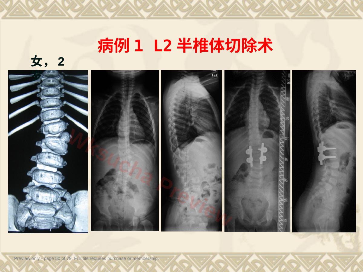 预览第 50 页