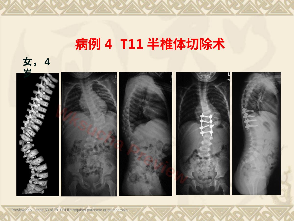 预览第 53 页
