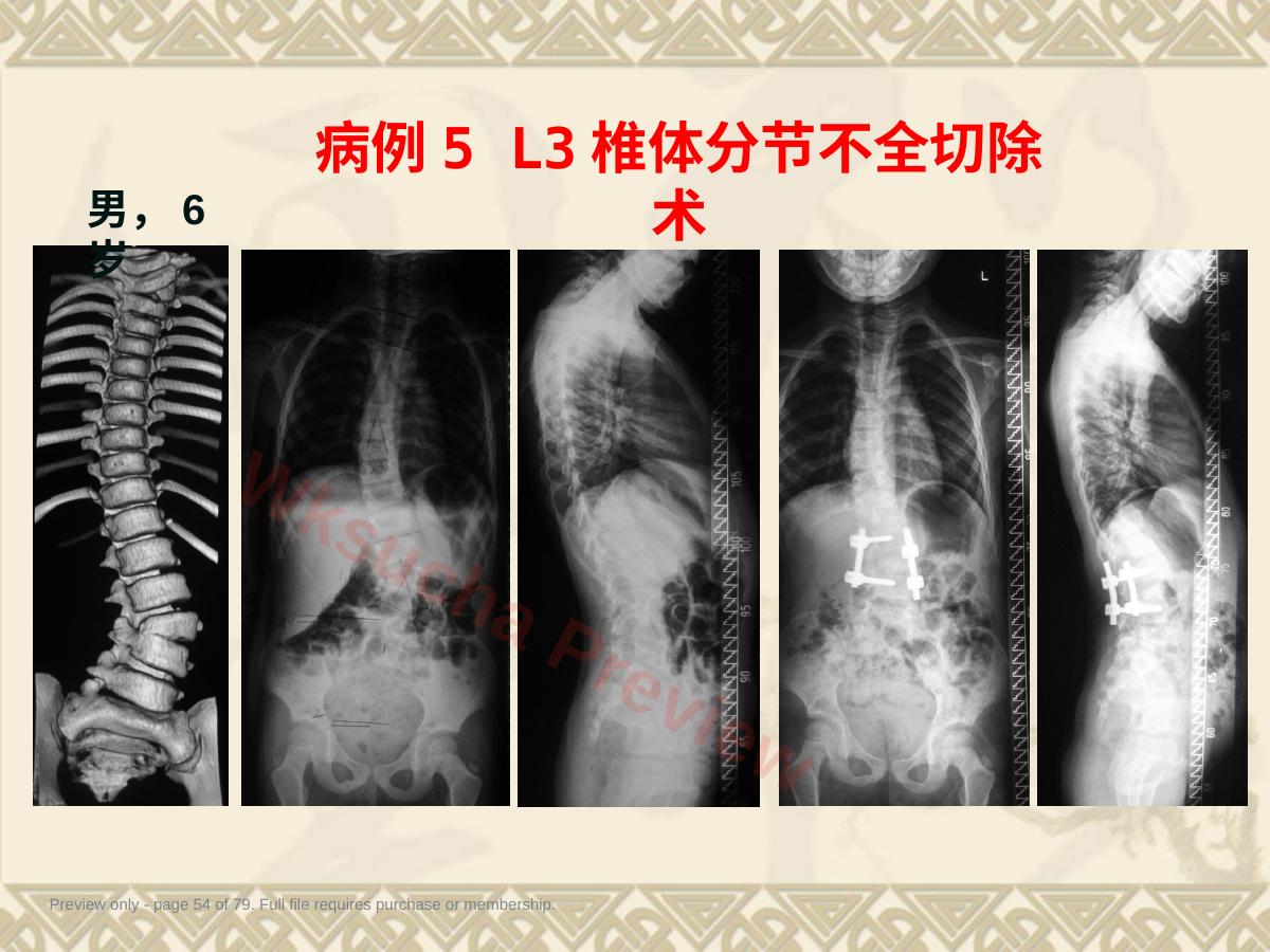 预览第 54 页