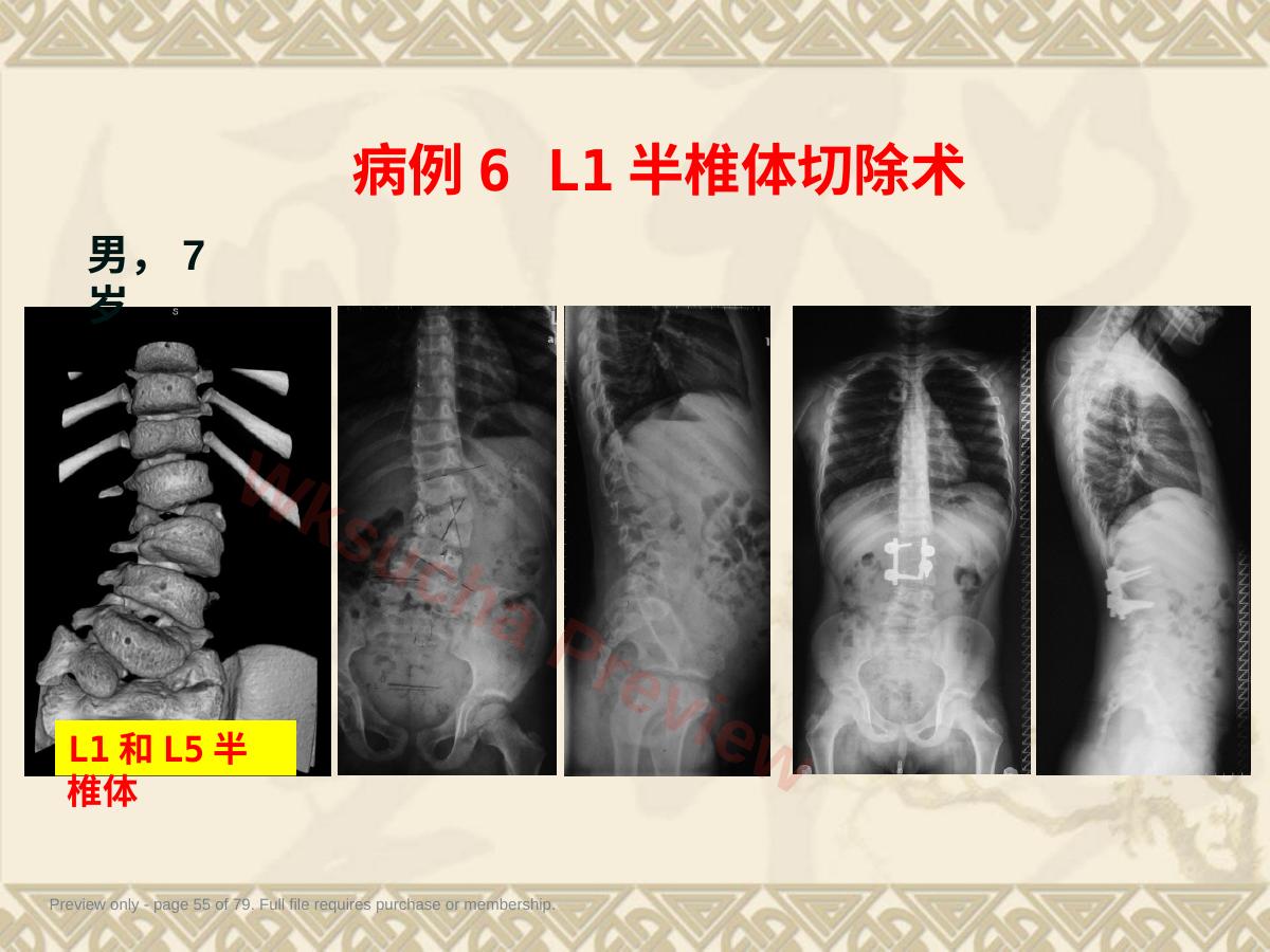 预览第 55 页