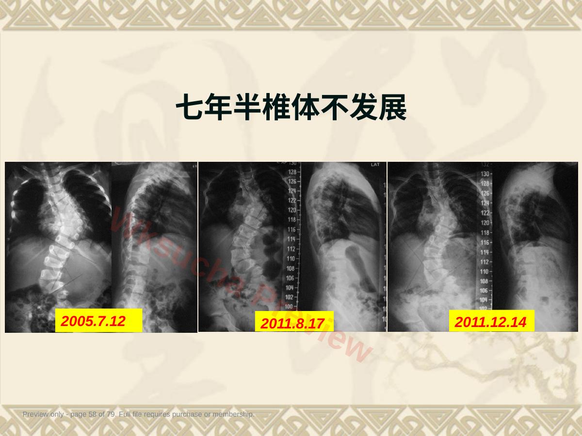 预览第 58 页