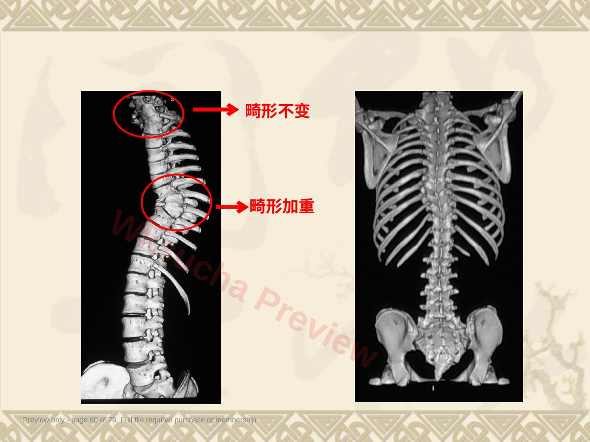 预览第 60 页