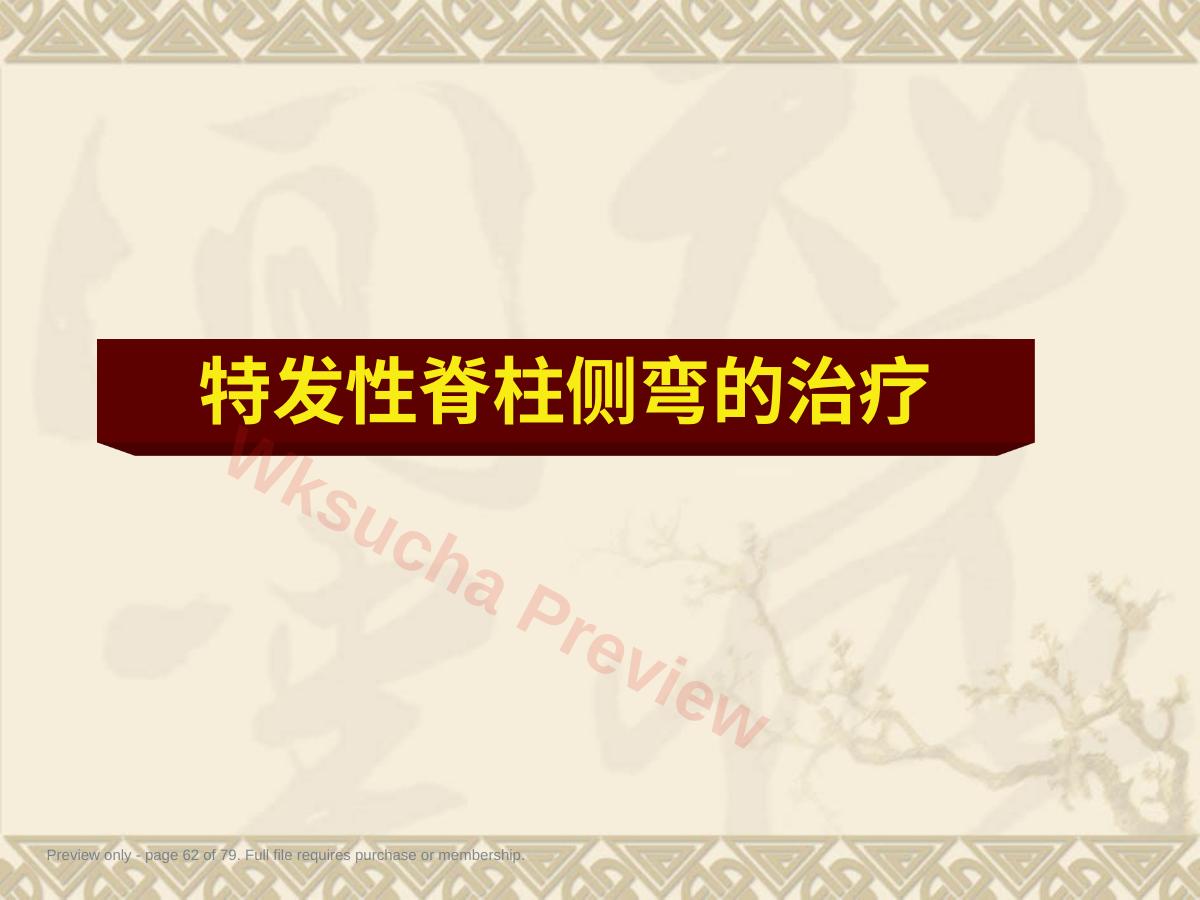 预览第 62 页