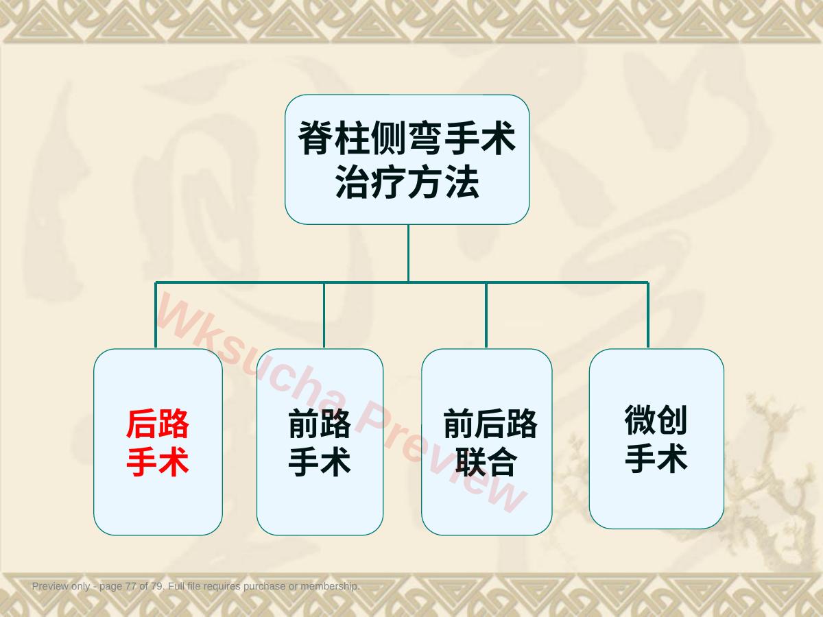 预览第 77 页