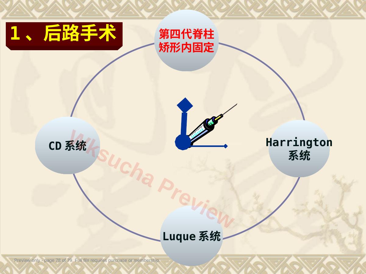 预览第 78 页