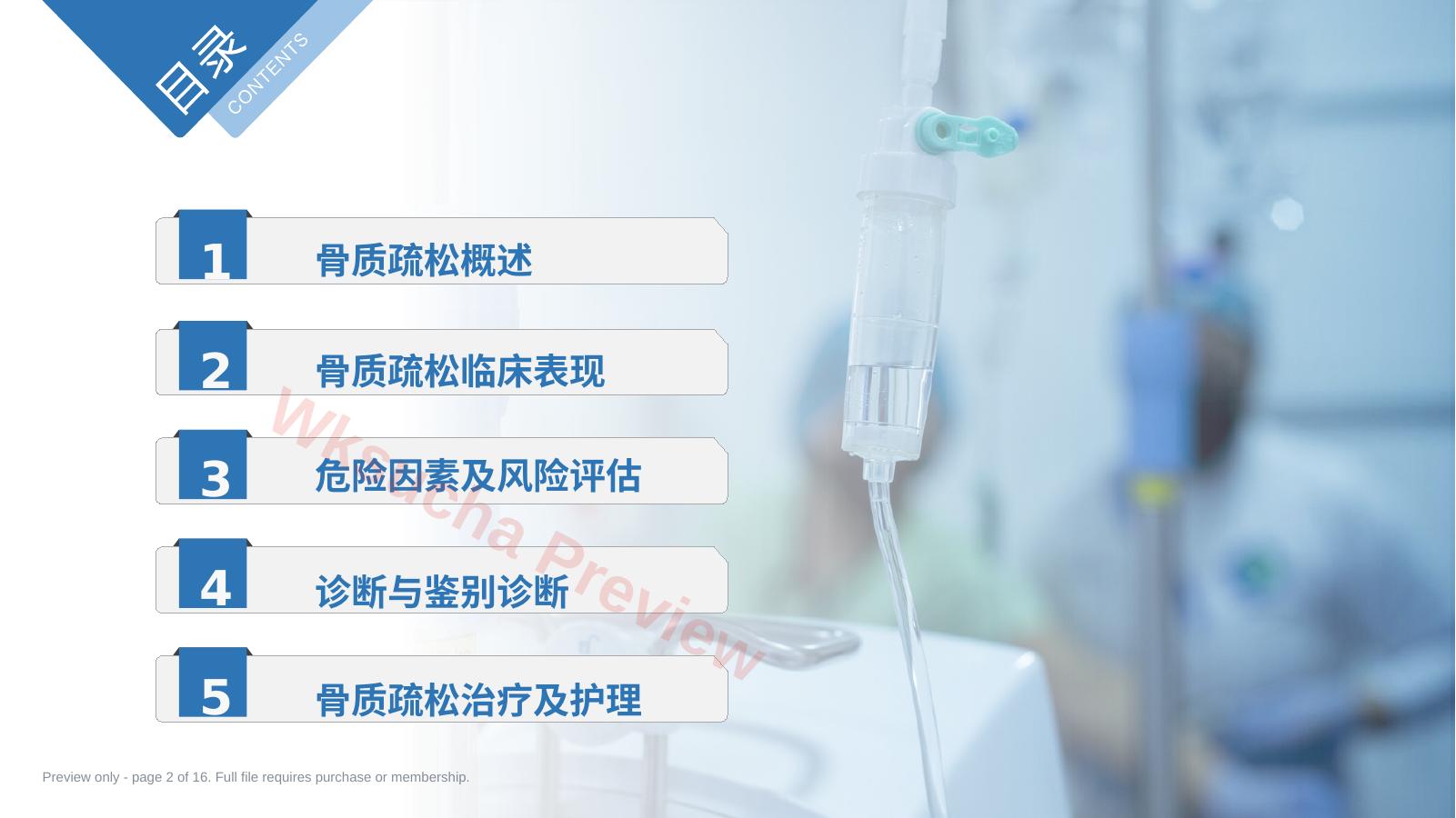 预览第 2 页