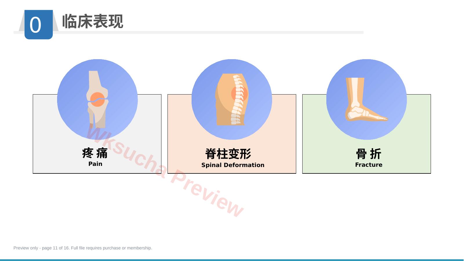 预览第 11 页