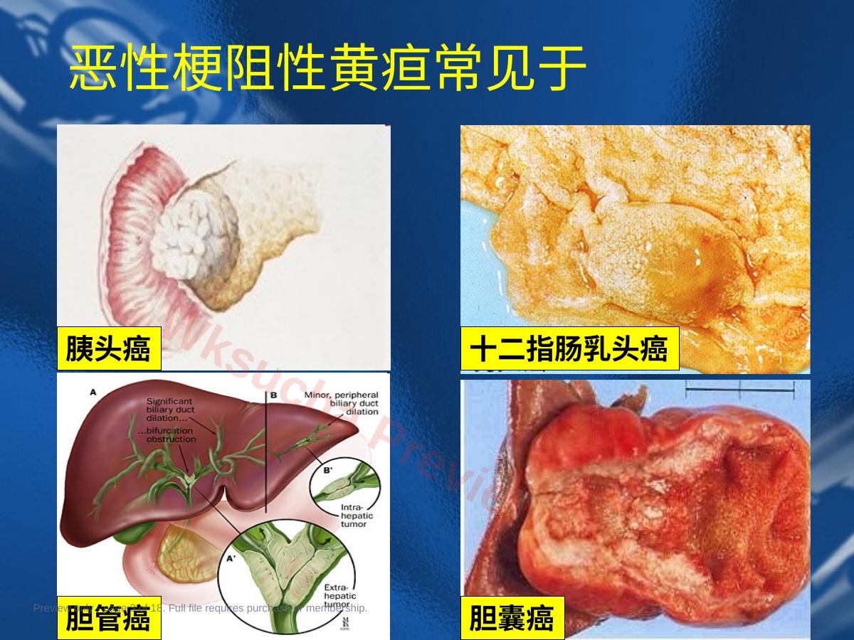 预览第 3 页