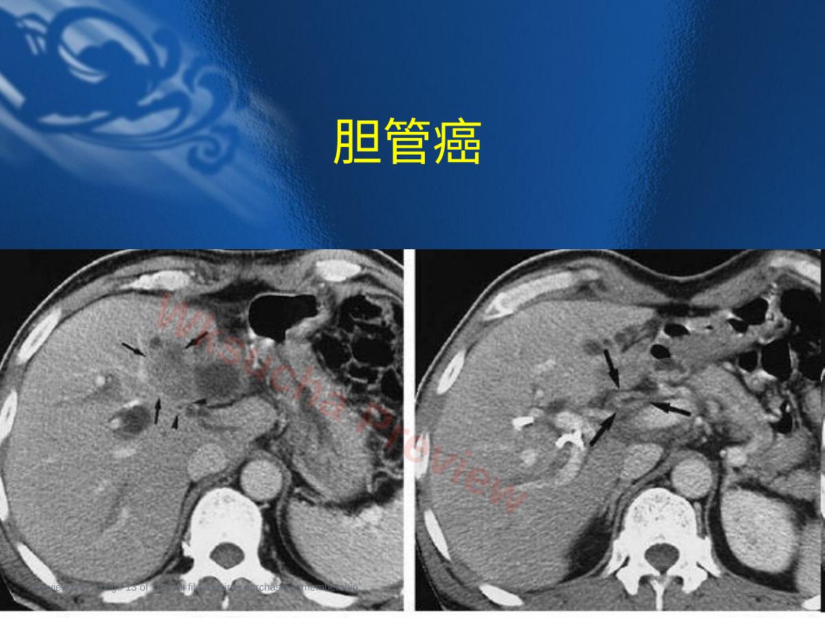 预览第 13 页