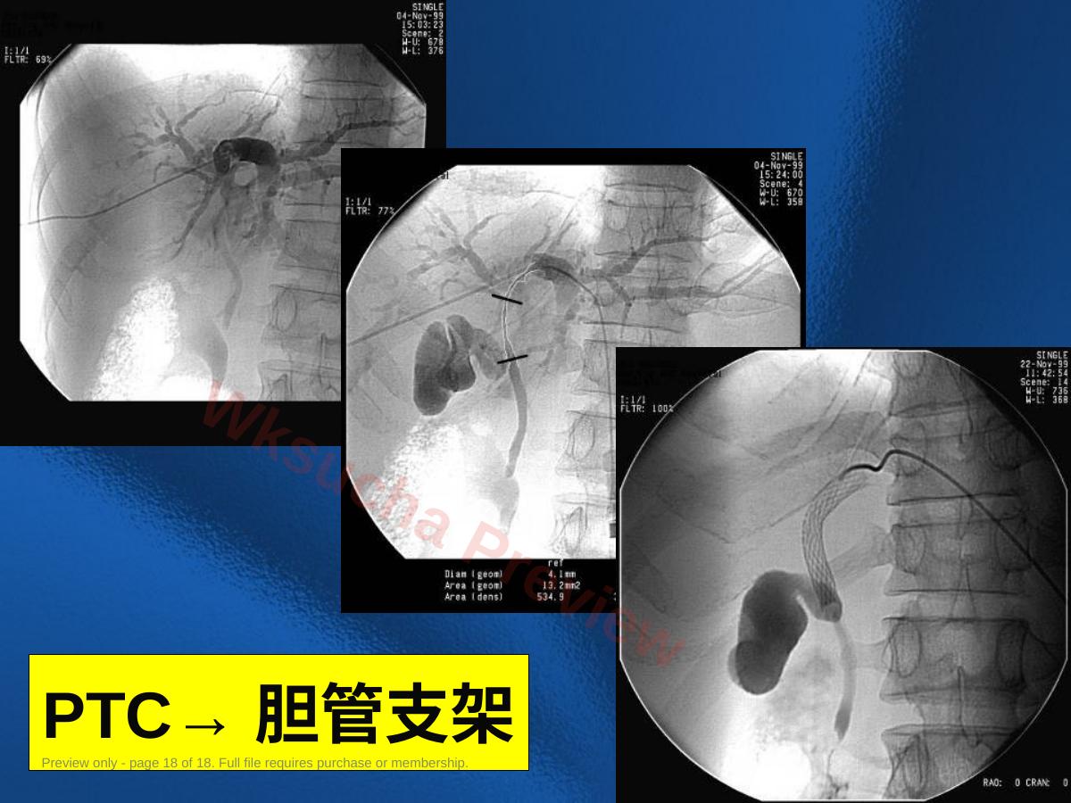 预览第 18 页