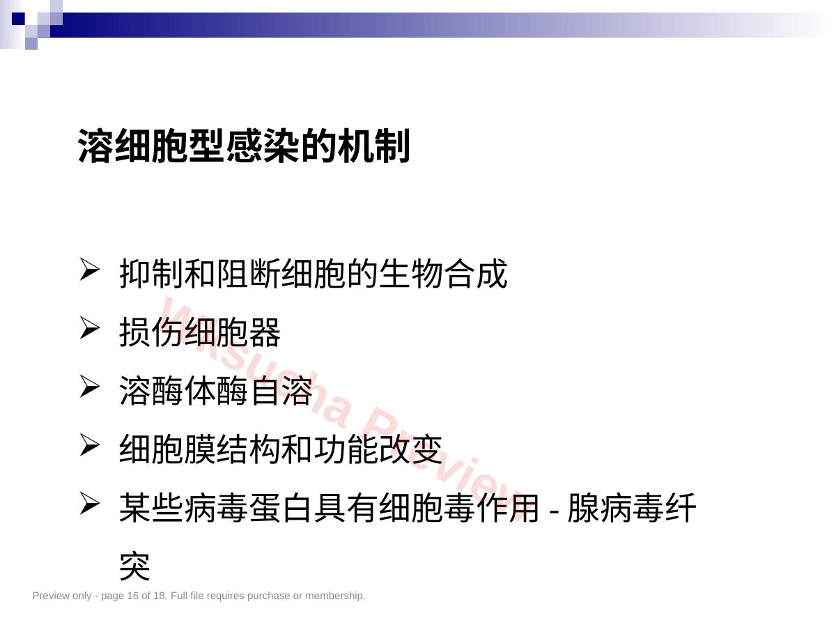 预览第 16 页