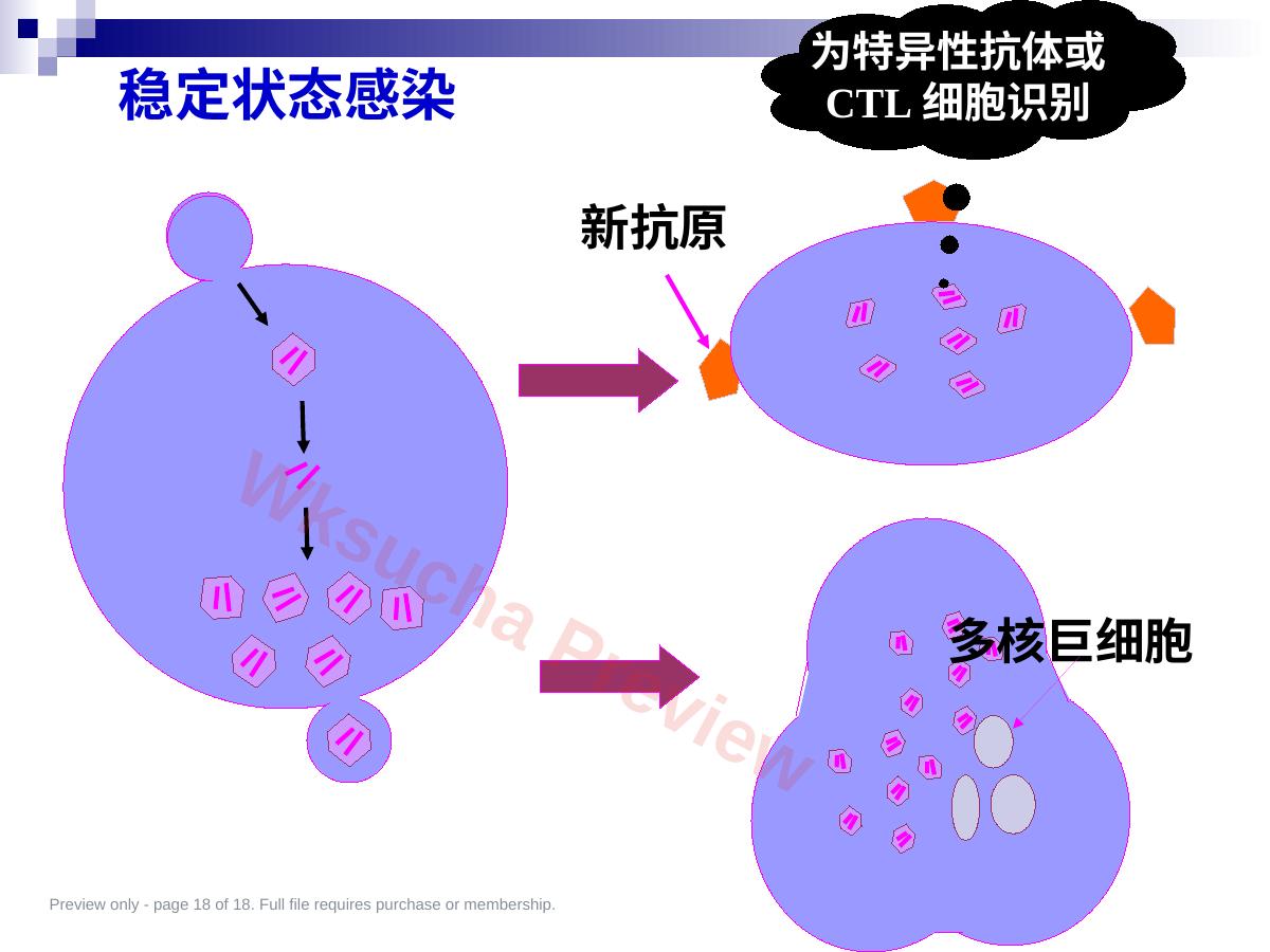 预览第 18 页