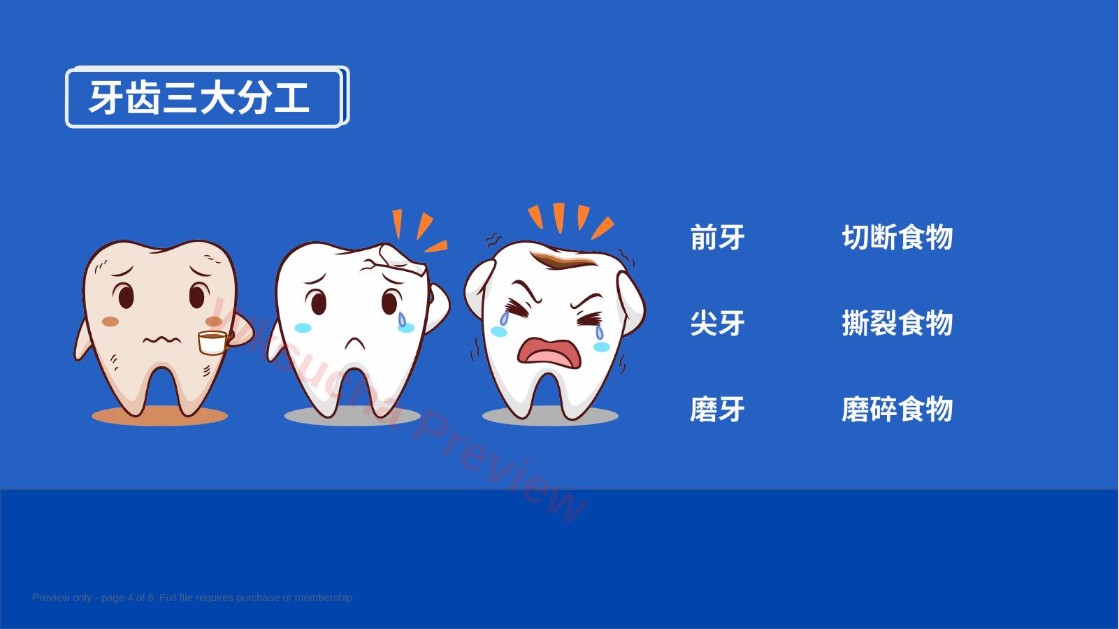 预览第 4 页