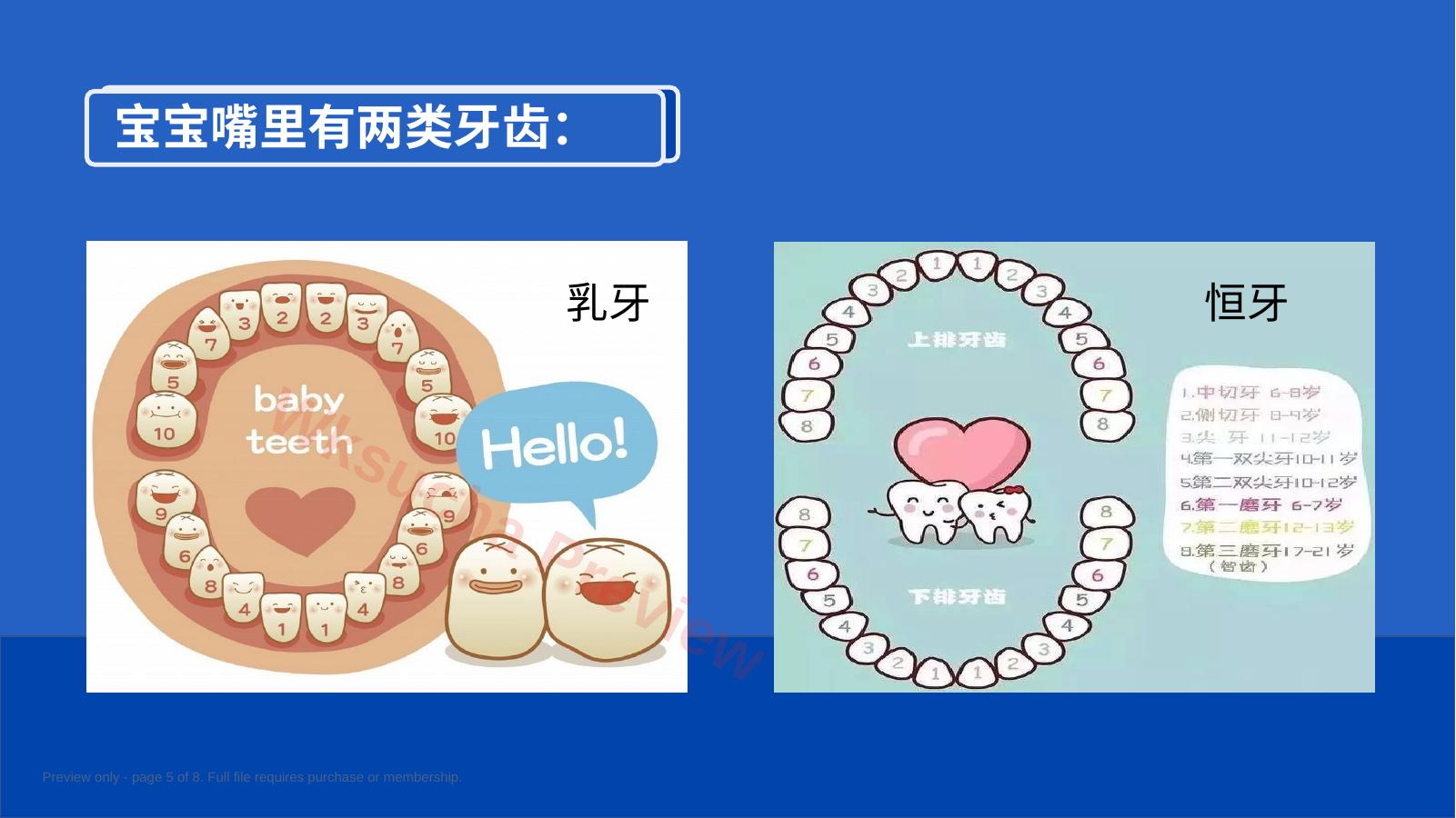 预览第 5 页