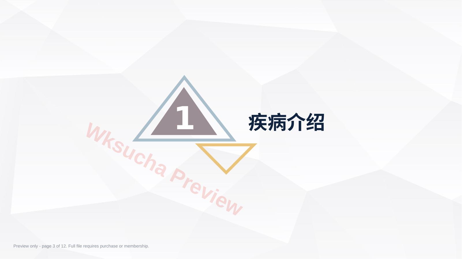 预览第 3 页