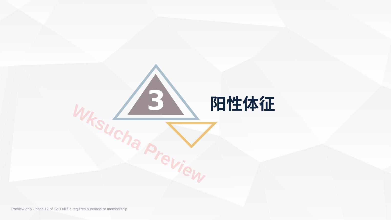 预览第 12 页
