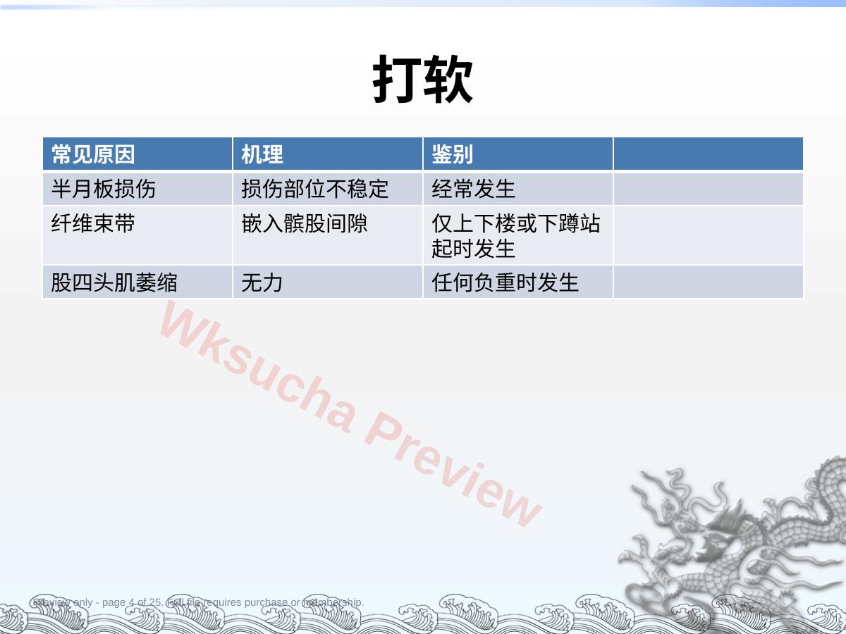 预览第 4 页