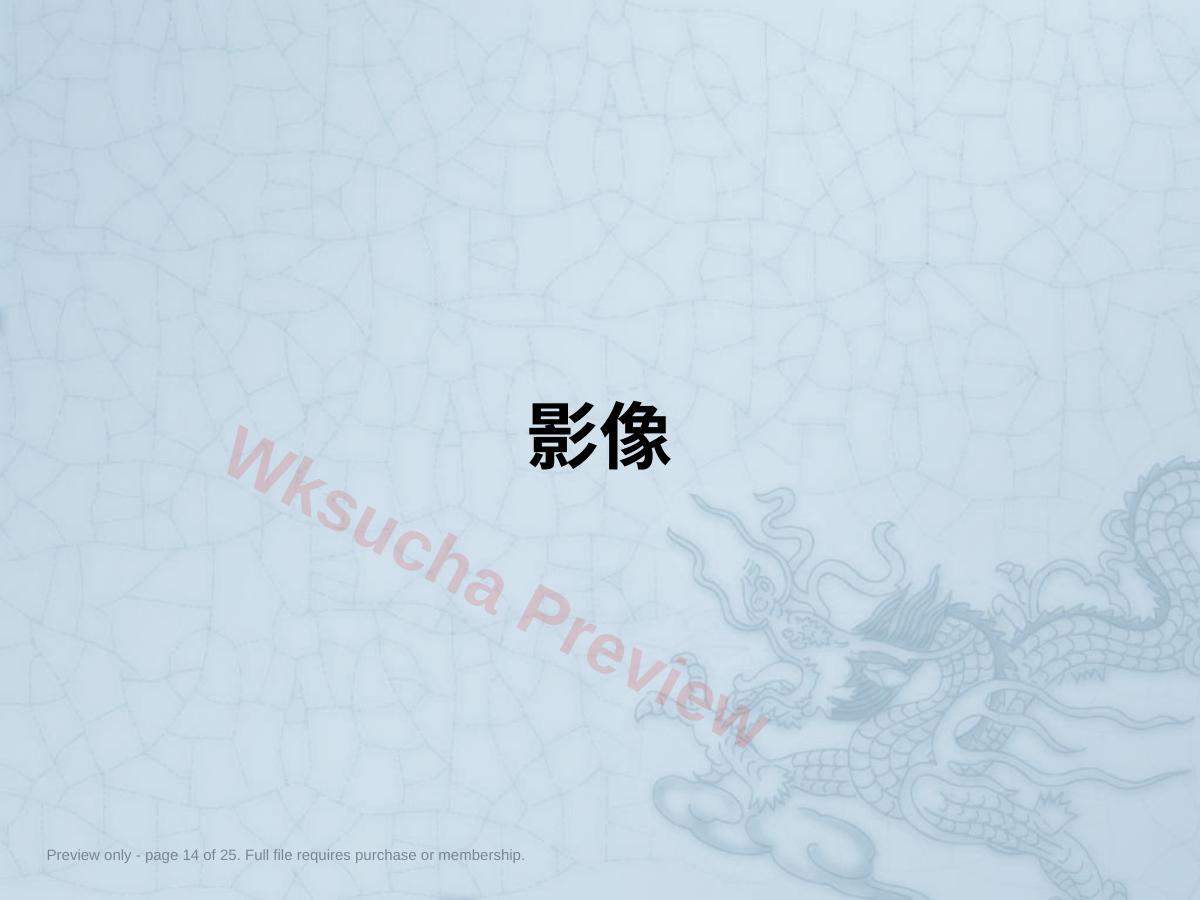 预览第 14 页