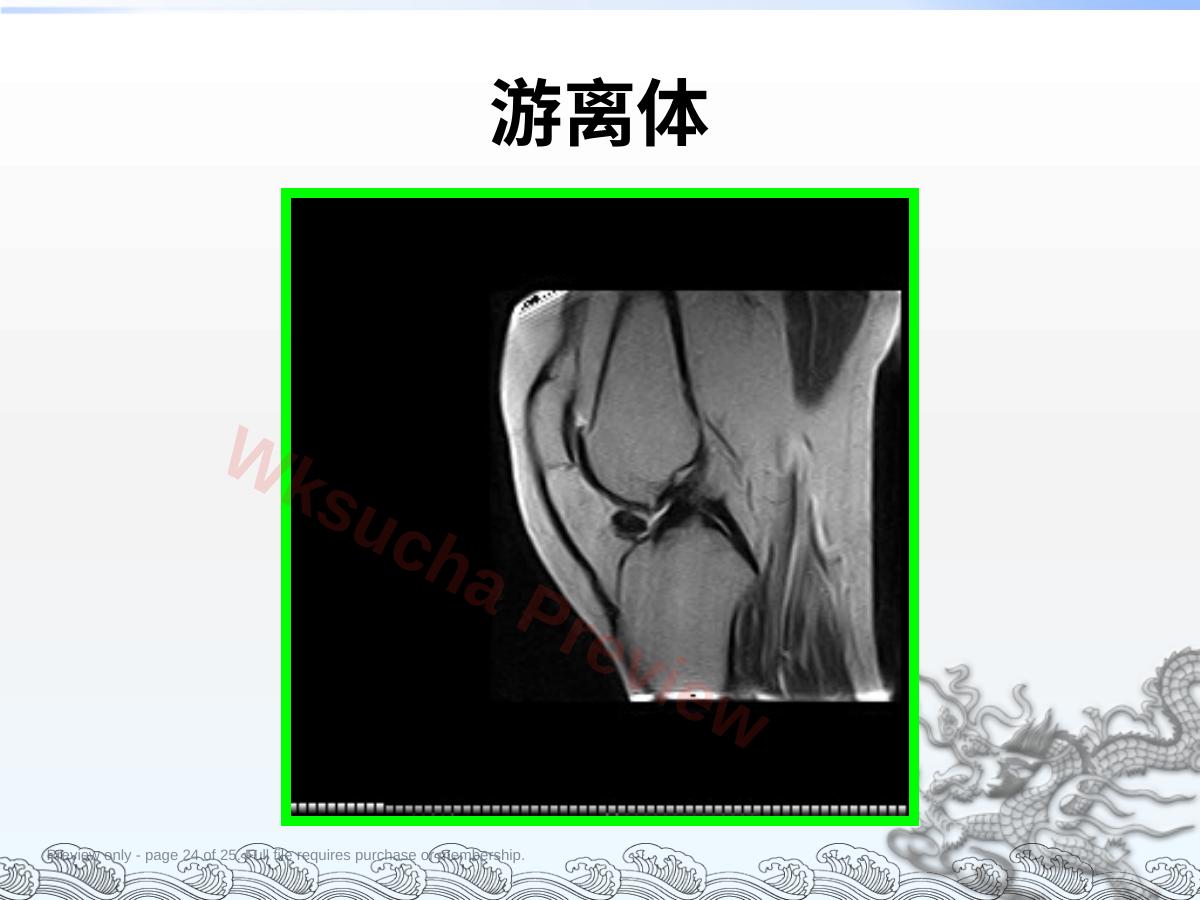 预览第 24 页