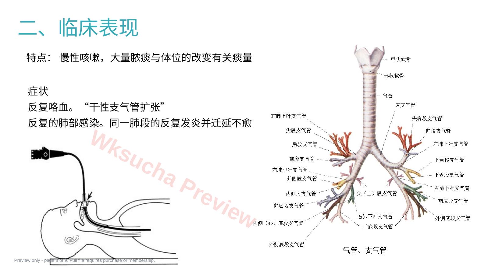 预览第 8 页