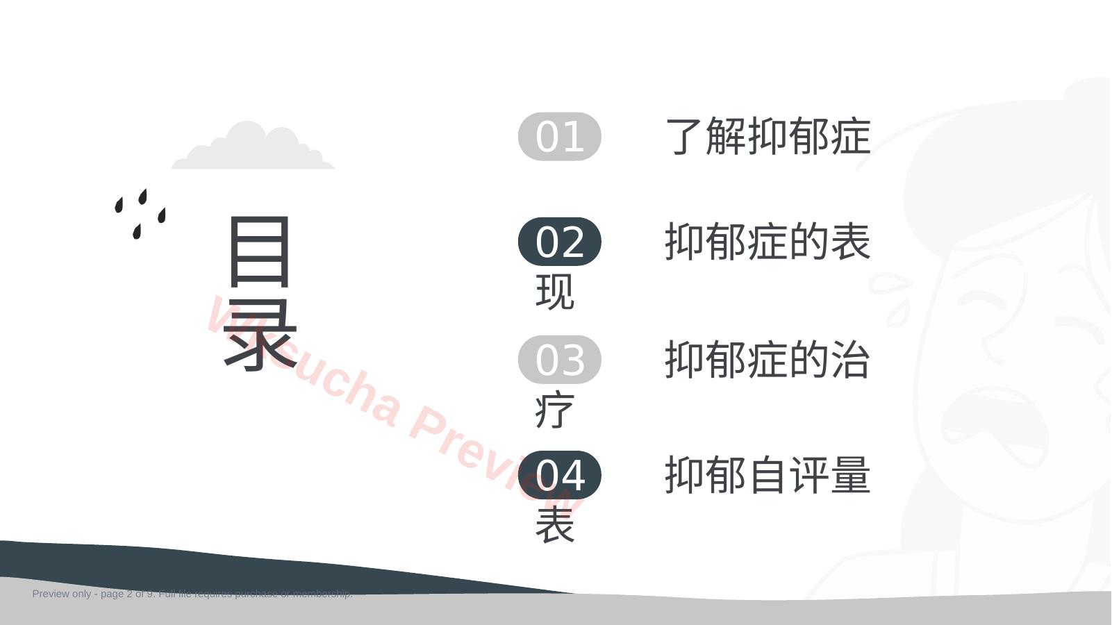 预览第 2 页