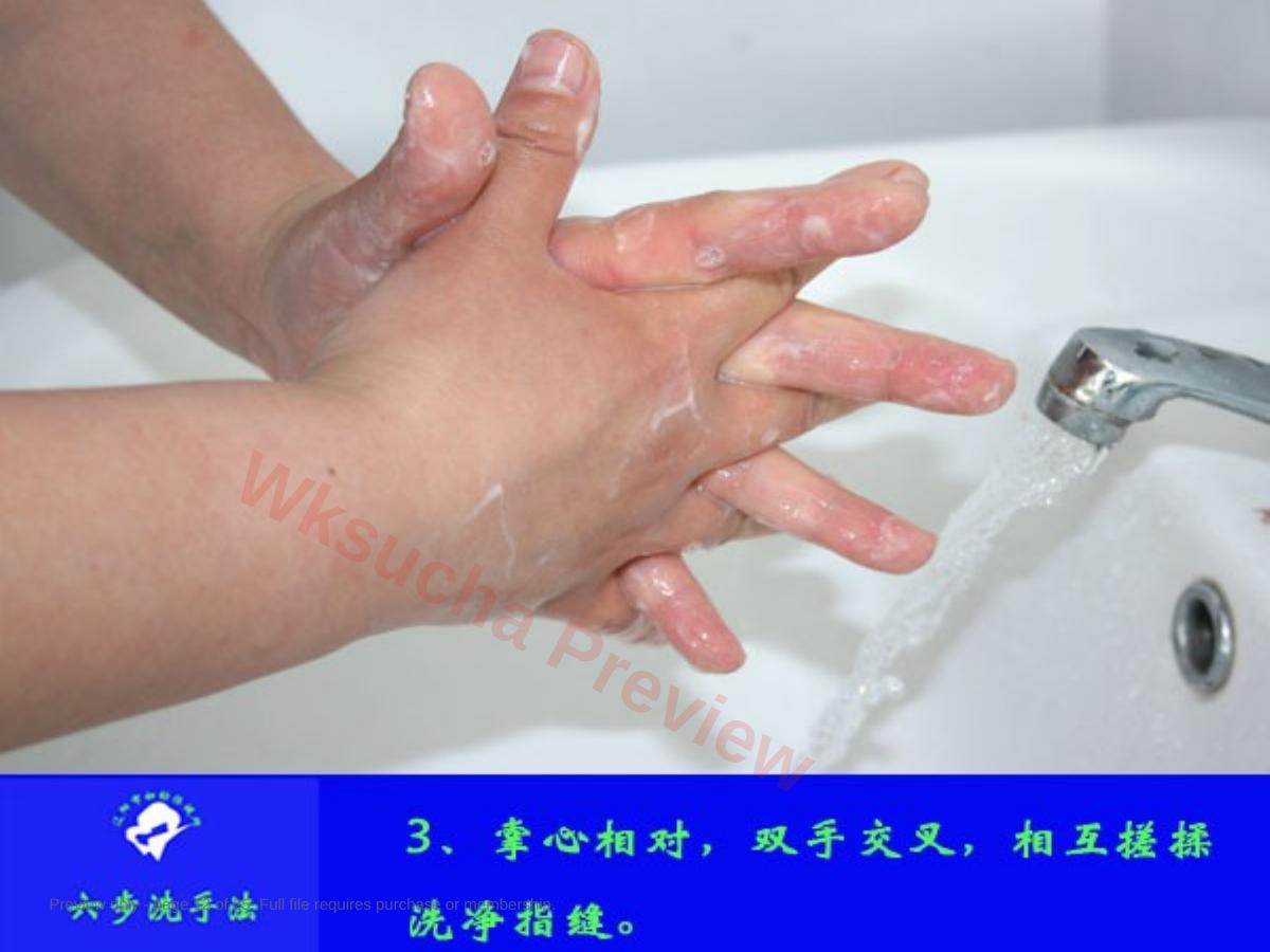 预览第 12 页