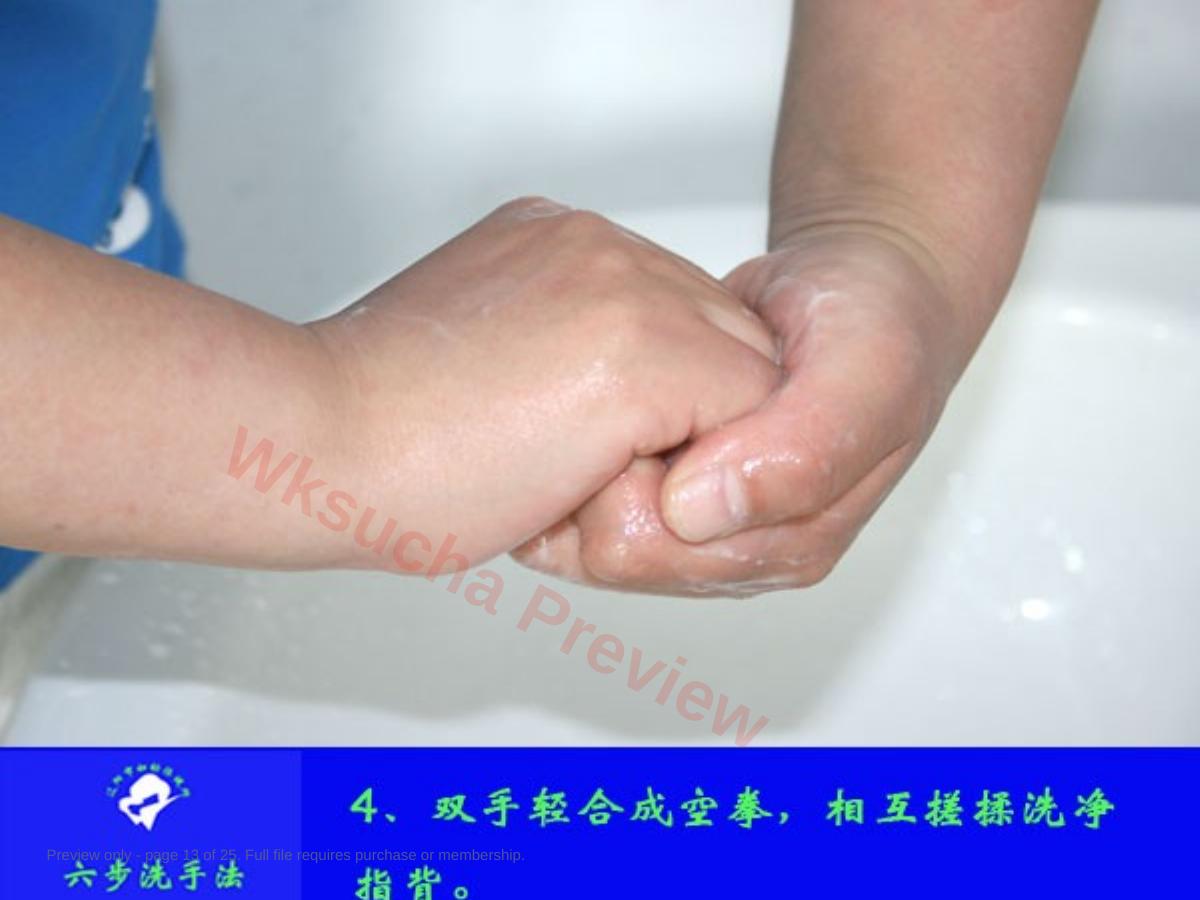 预览第 13 页