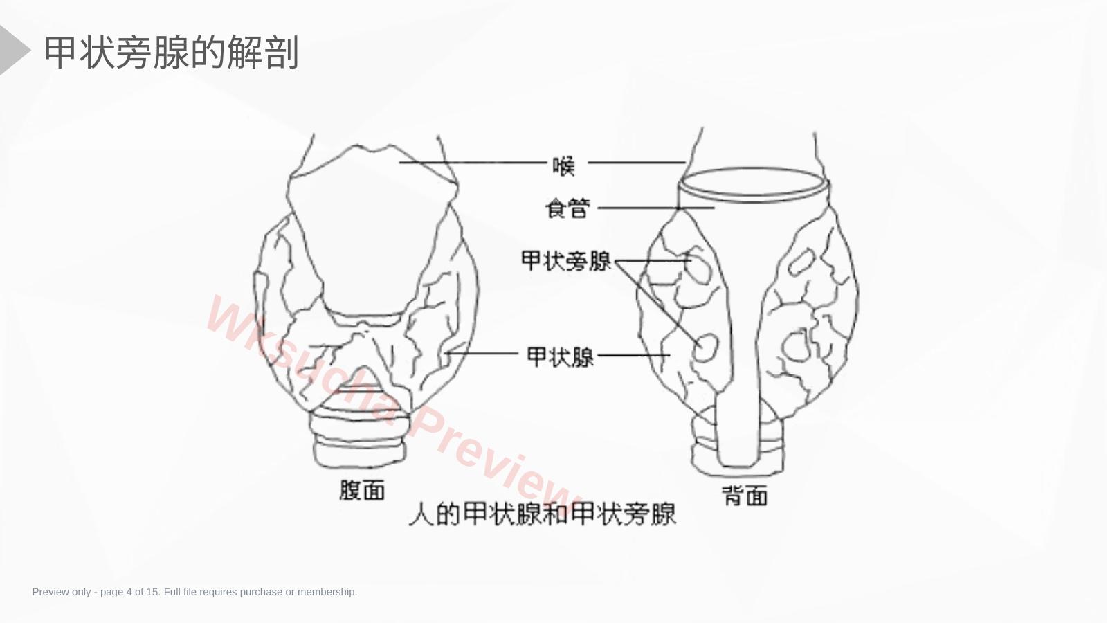 预览第 4 页