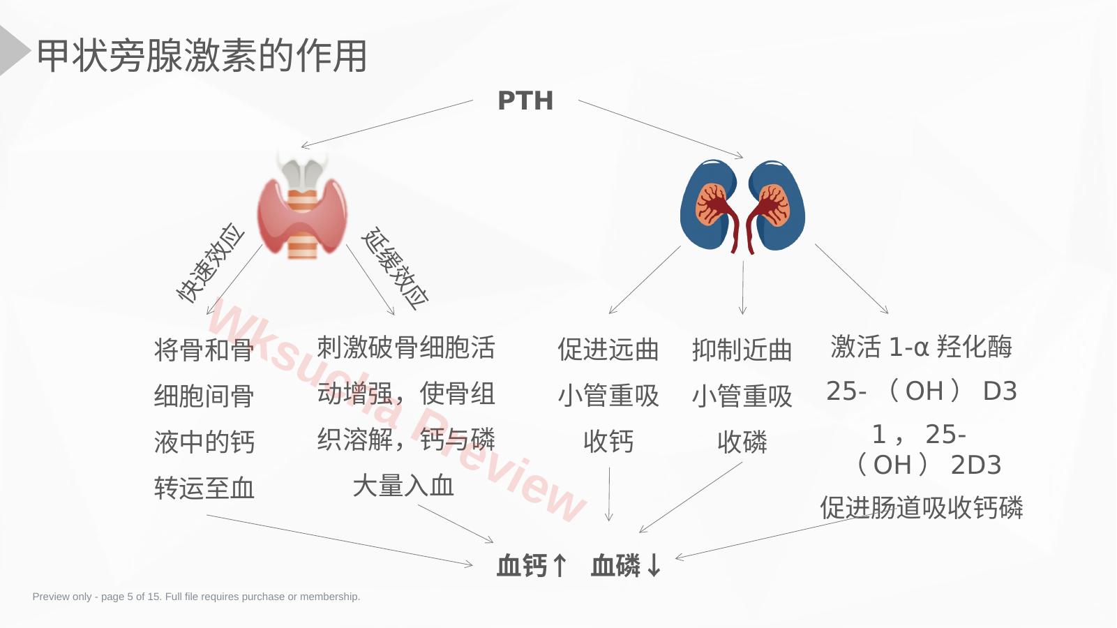 预览第 5 页