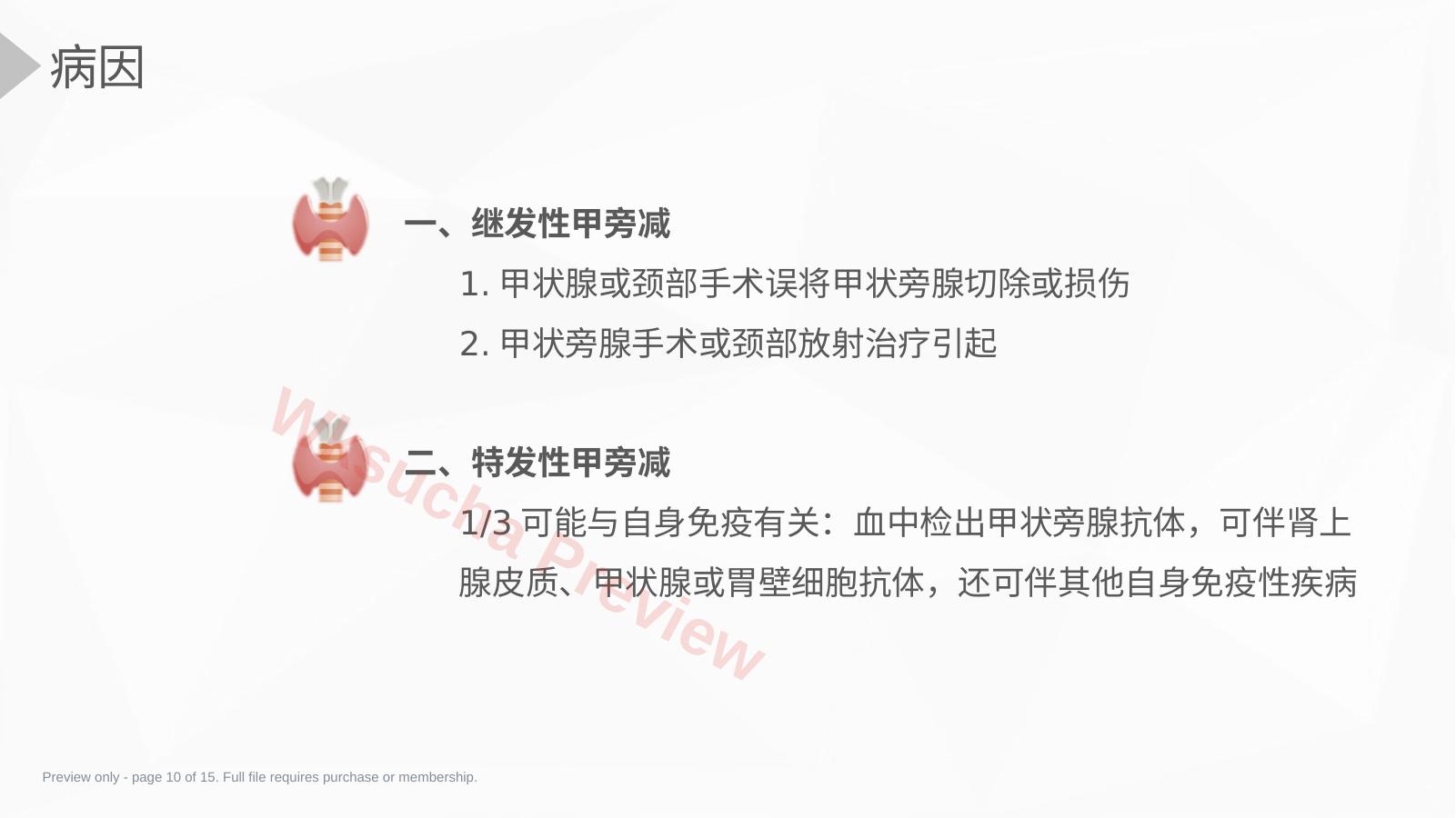 预览第 10 页