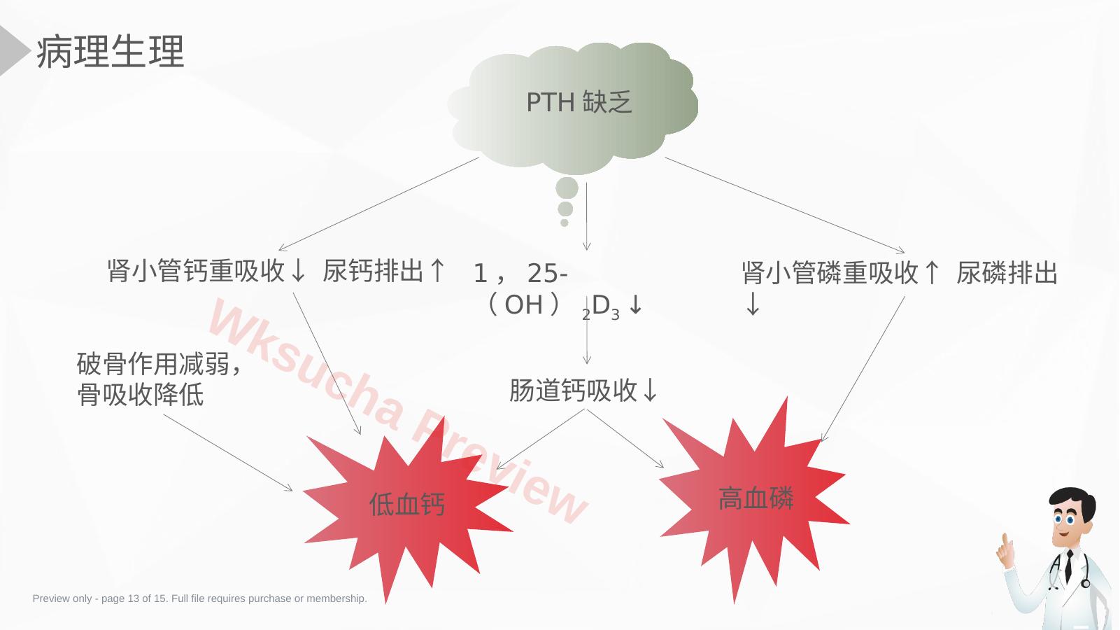 预览第 13 页