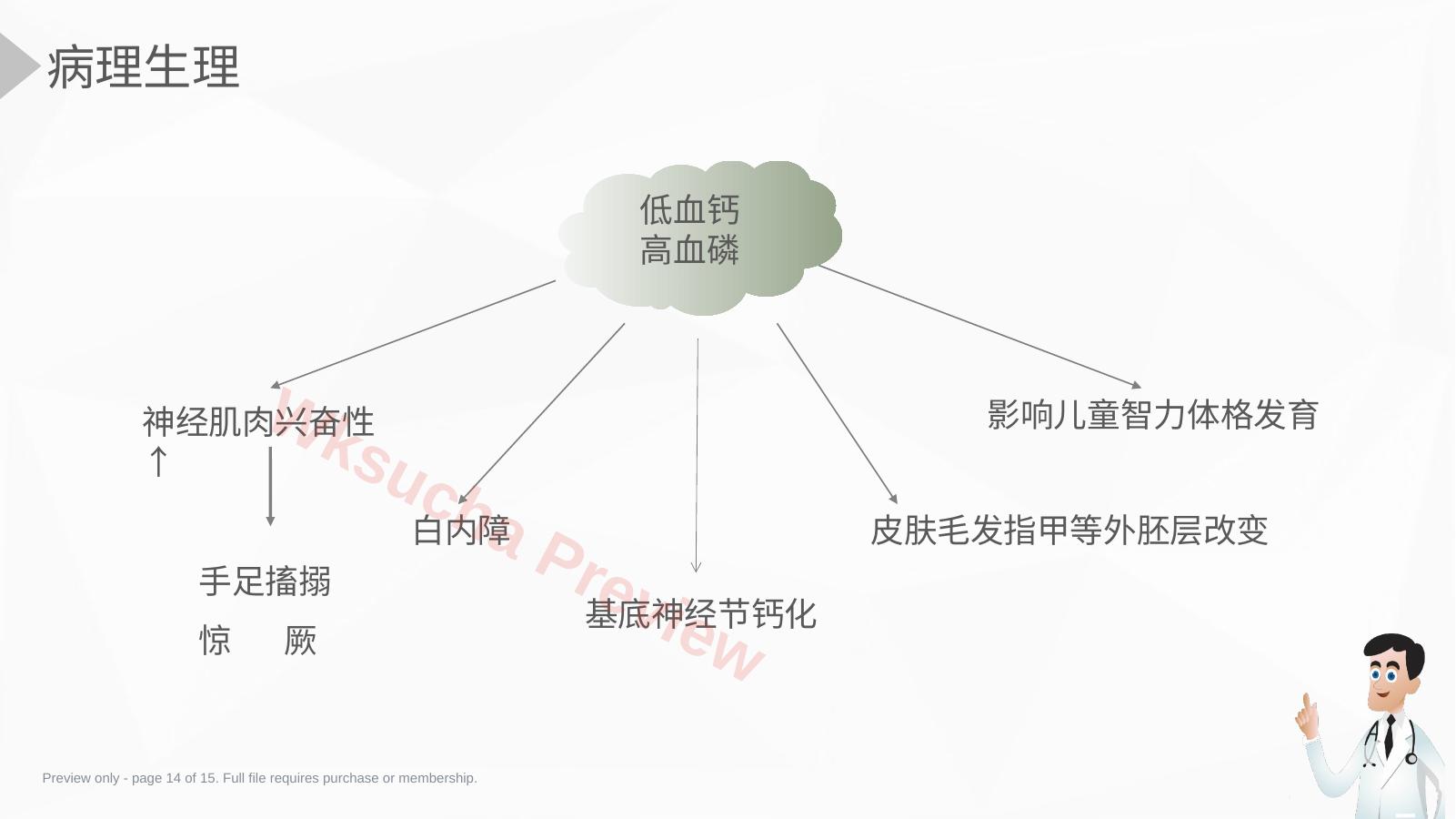 预览第 14 页