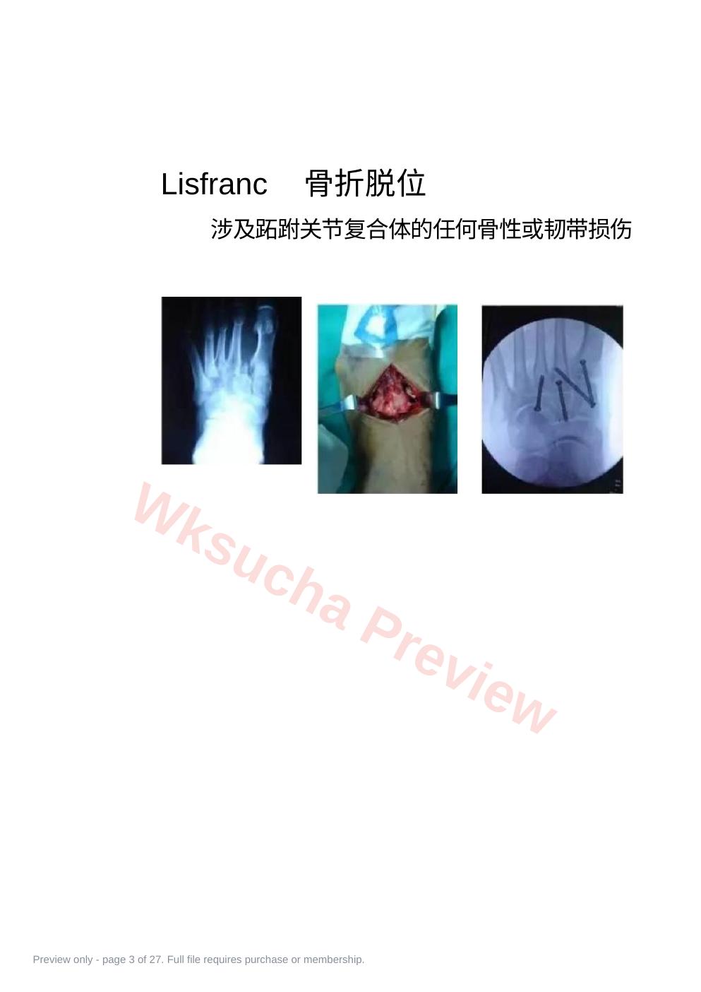 预览第 3 页