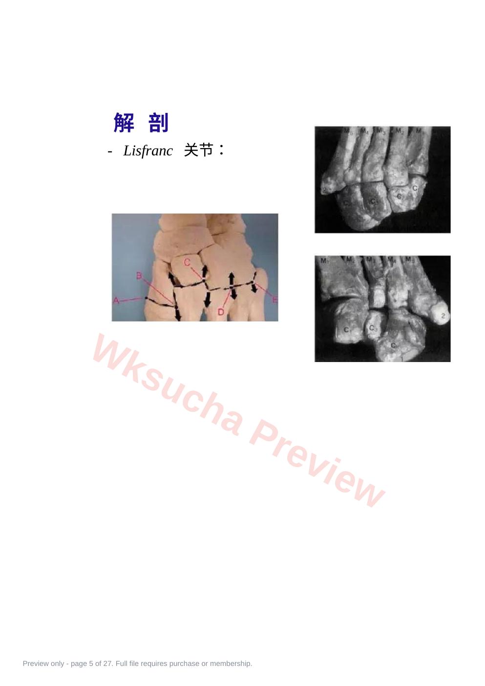预览第 5 页