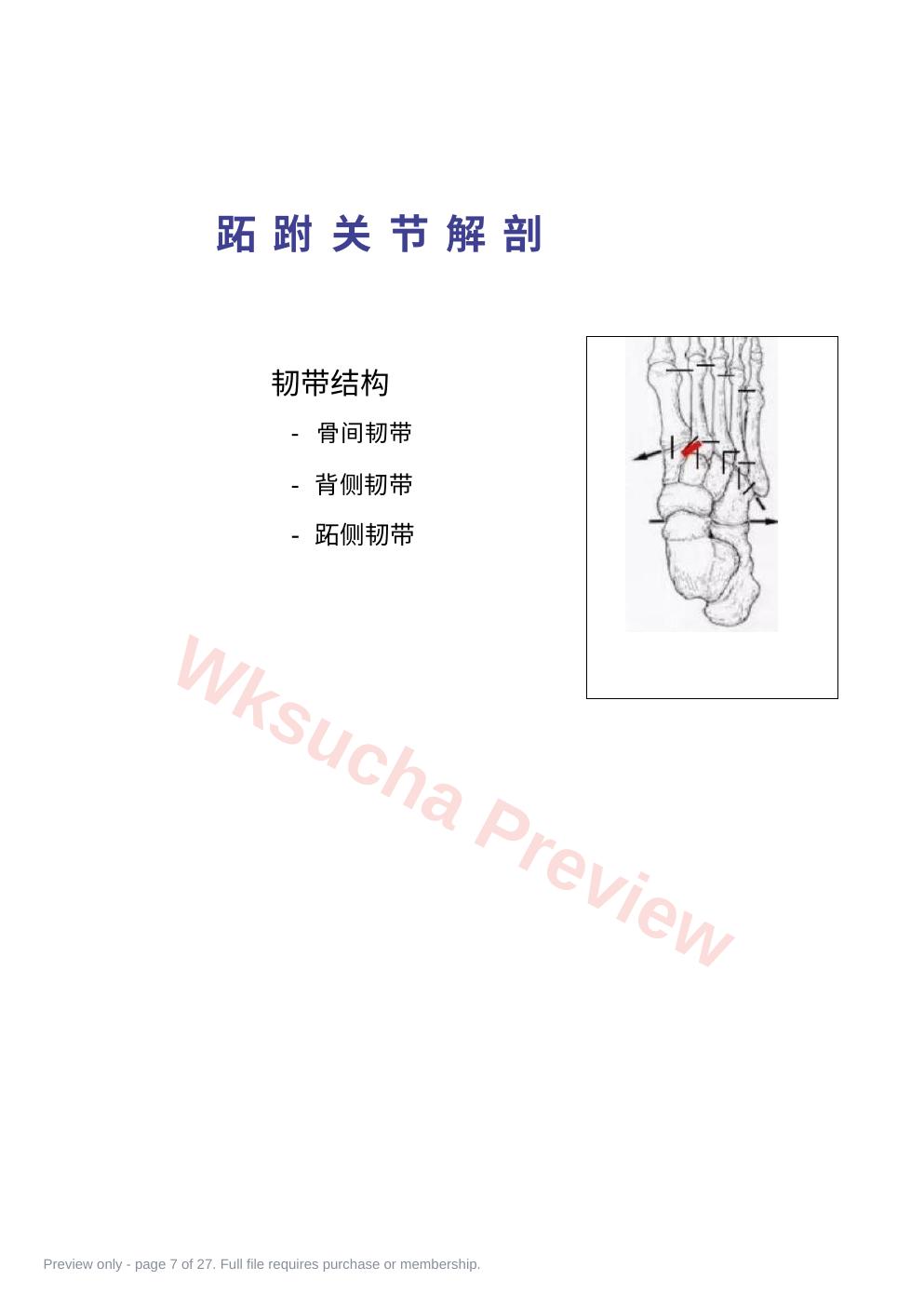 预览第 7 页