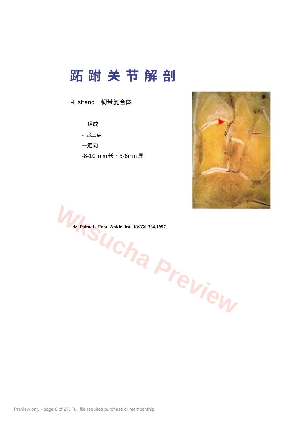 预览第 8 页