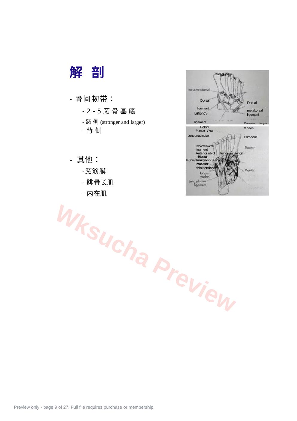 预览第 9 页