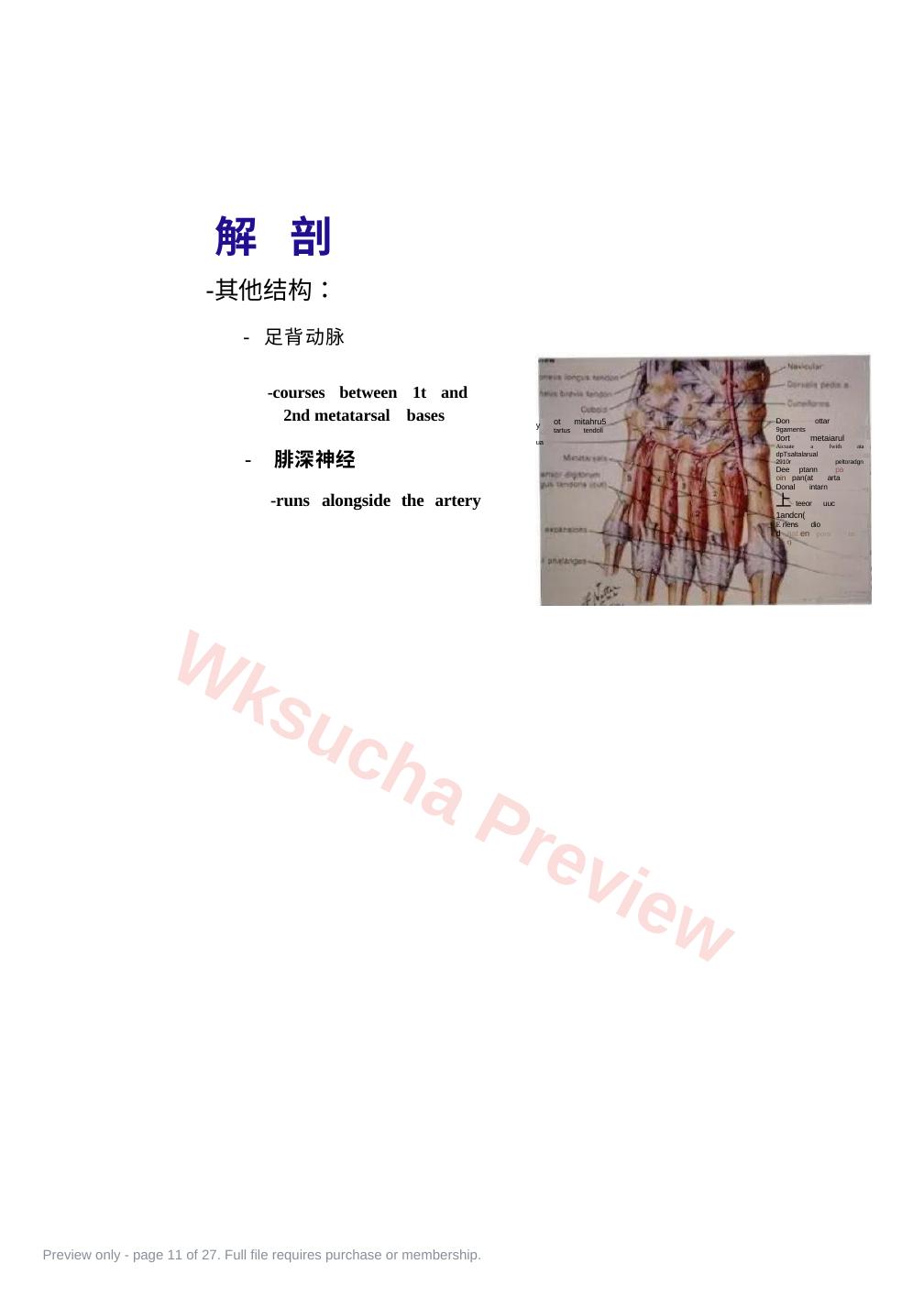预览第 11 页