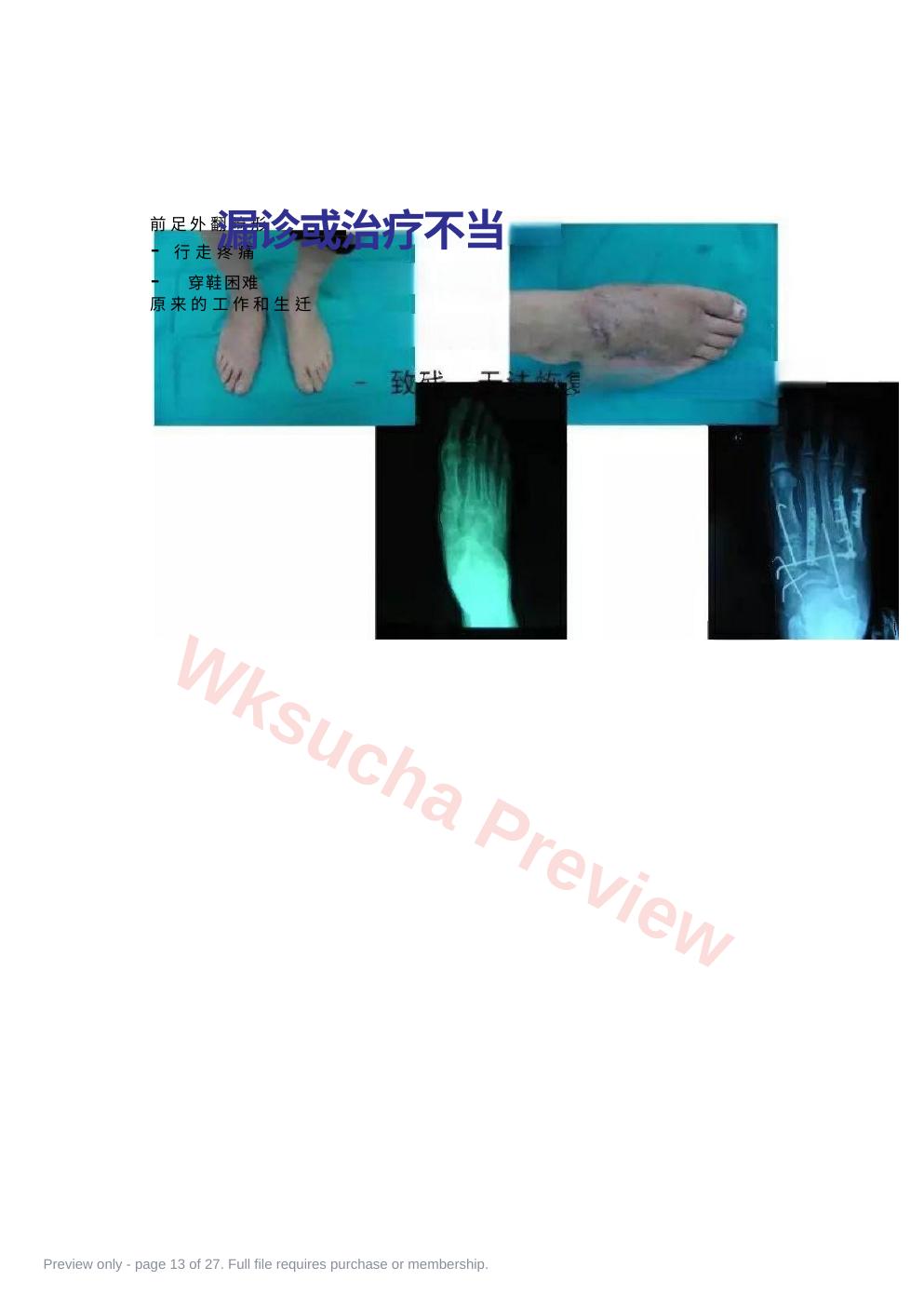 预览第 13 页