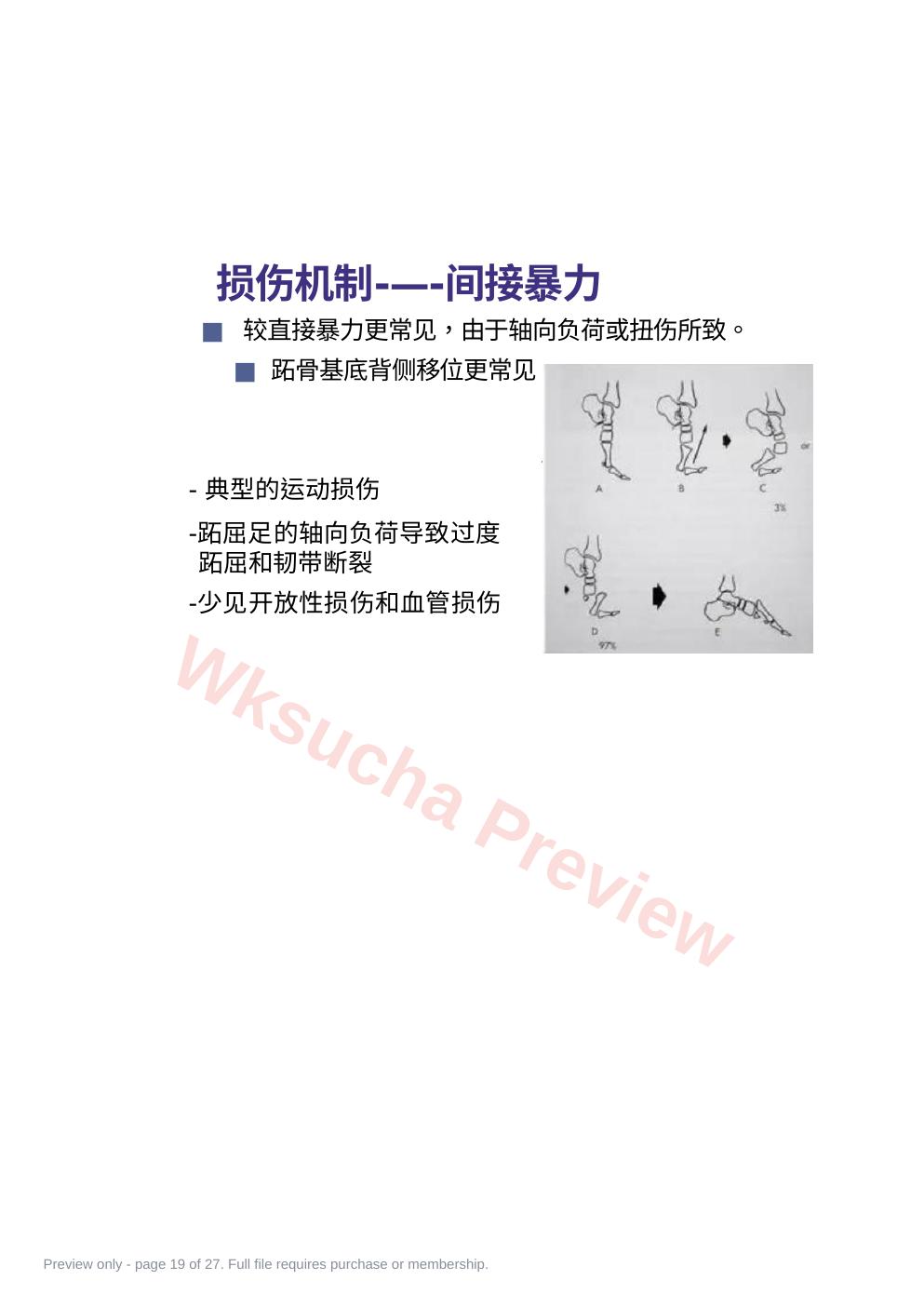 预览第 19 页