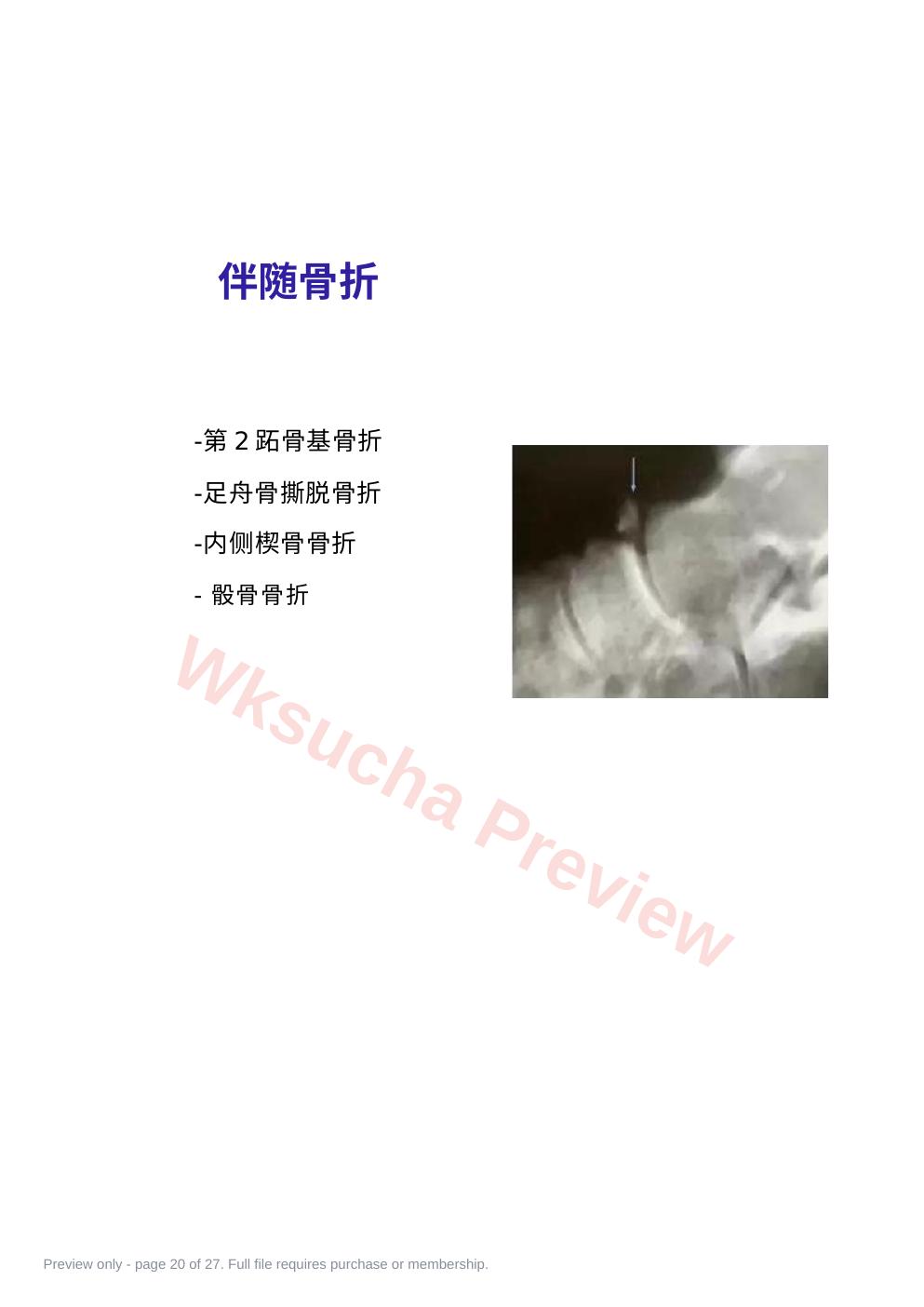 预览第 20 页