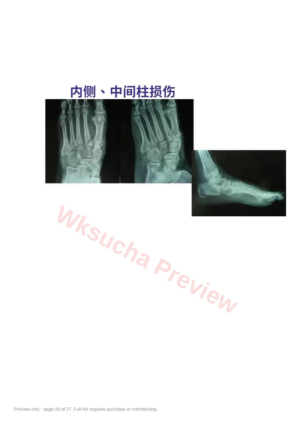 预览第 26 页