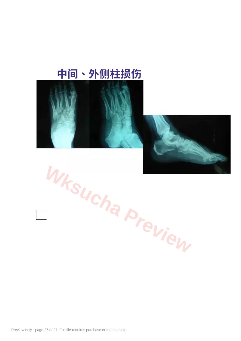 预览第 27 页