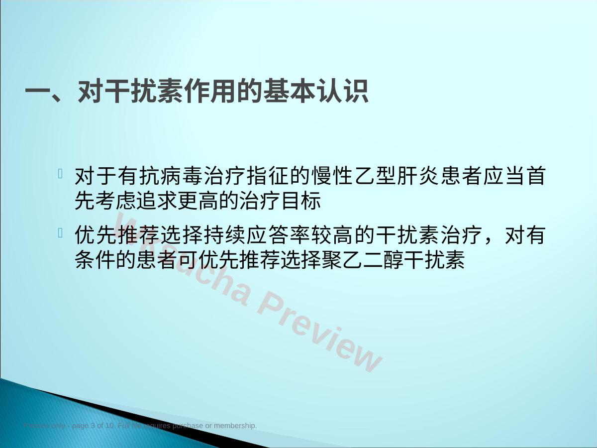 预览第 3 页