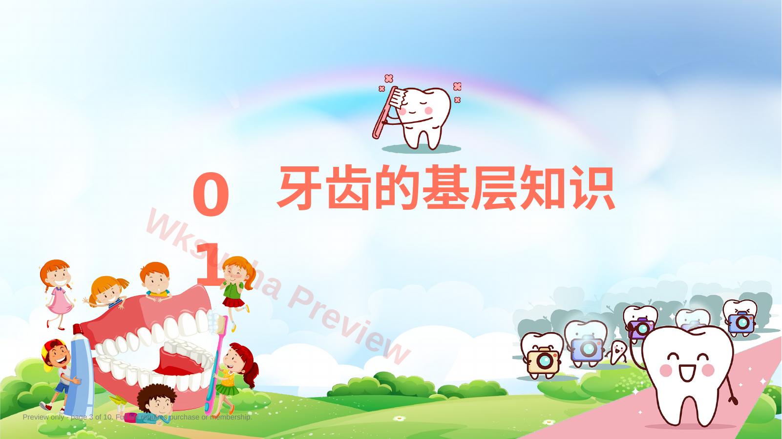 预览第 3 页