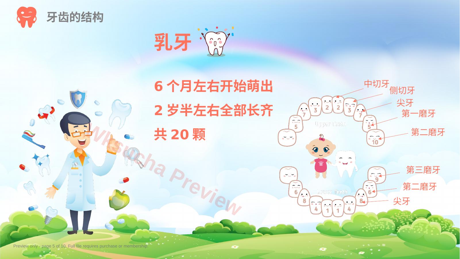 预览第 5 页
