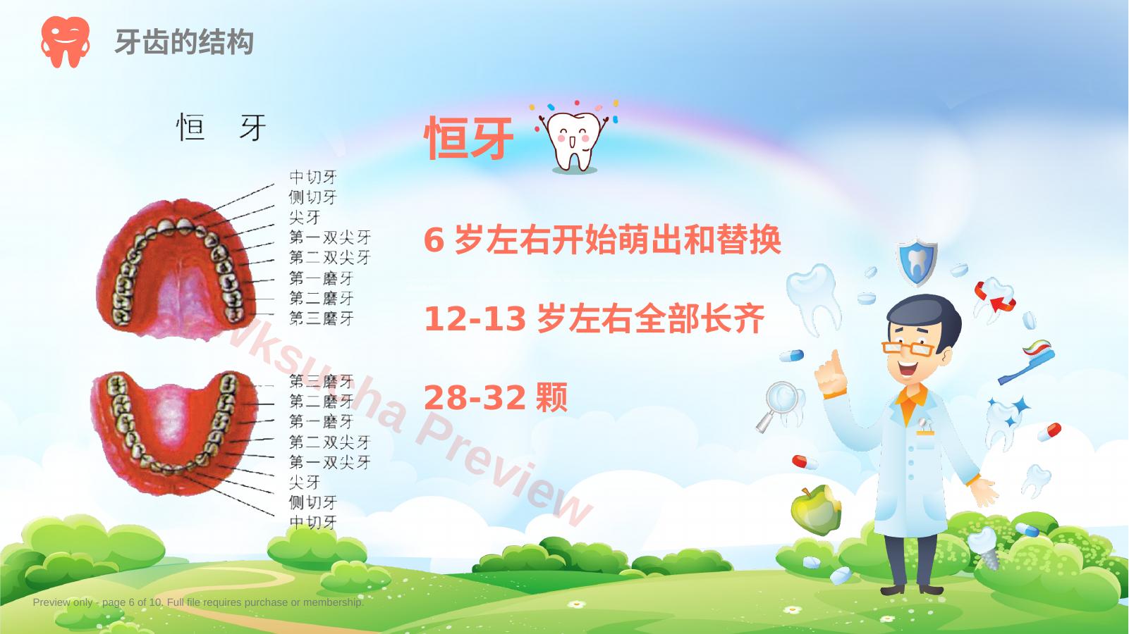 预览第 6 页