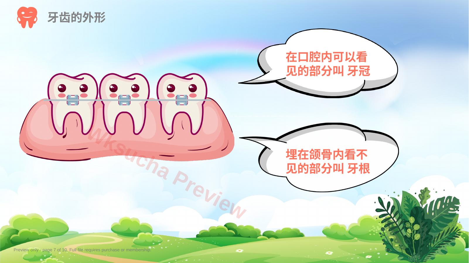 预览第 7 页