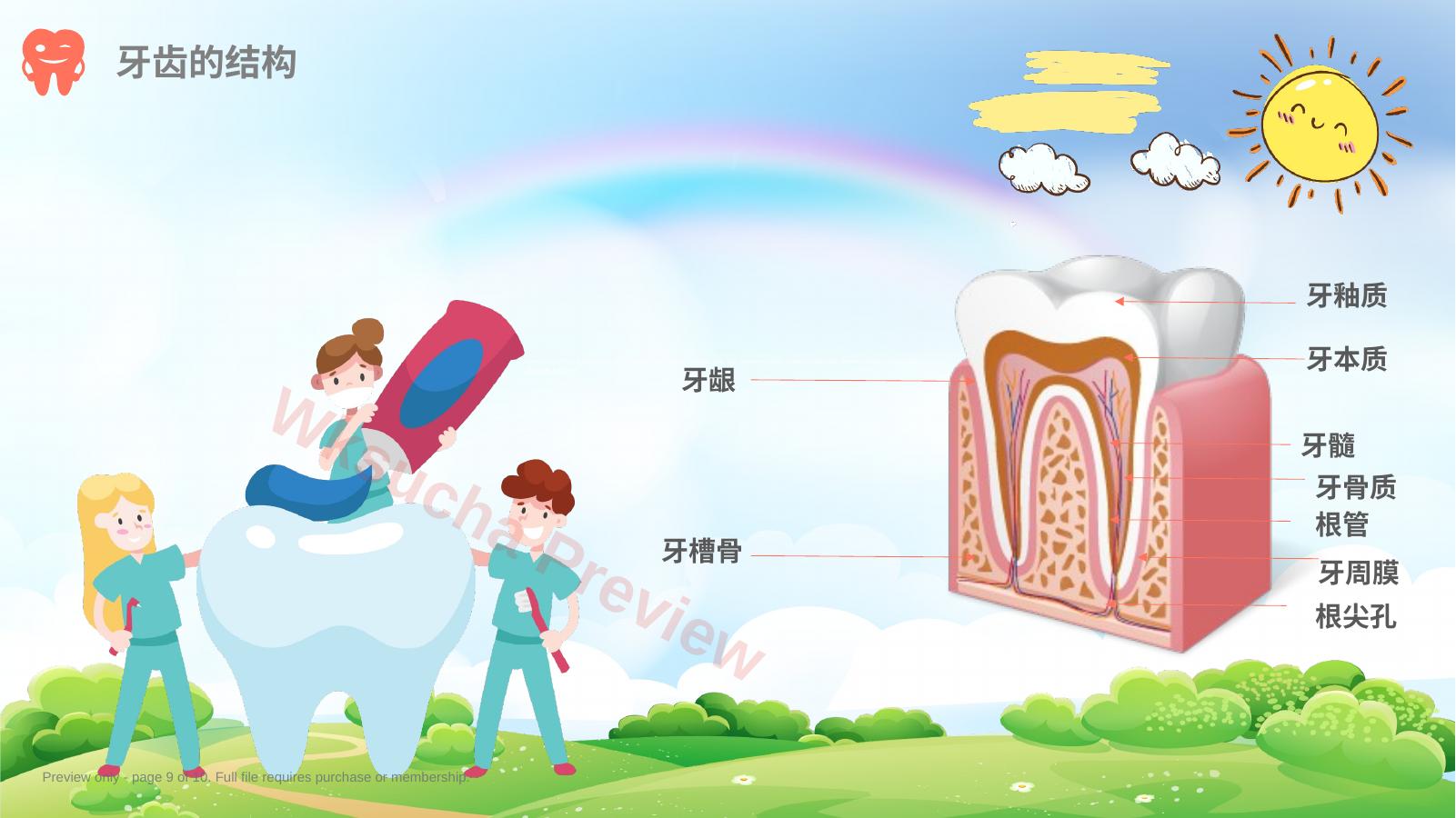 预览第 9 页